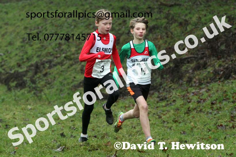 Boys under-13s, NECAA Junior Cross Country Relays, Thornley Farm, Peterlee, Saturday, December 12th. Photo: David T. Hewitson/Sports for All Pics